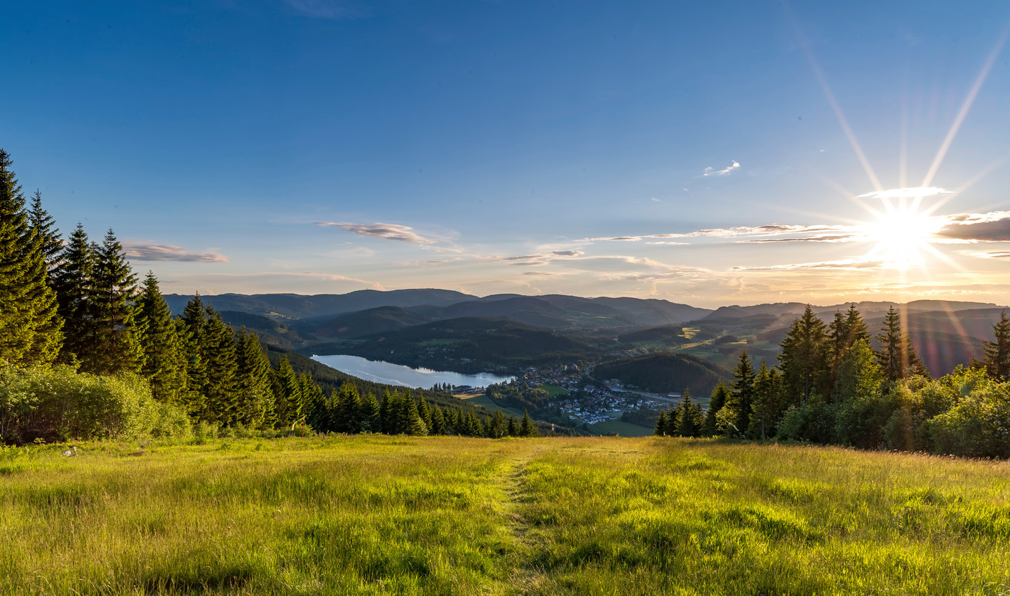 Schwarzwald